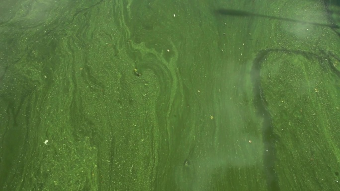 脏，内置水面，漆成绿色。