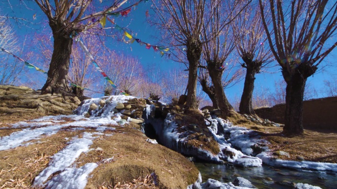 西藏冬季村庄  4k素材