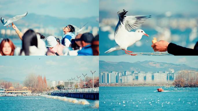 冬日暧阳下的昆明海埂大坝