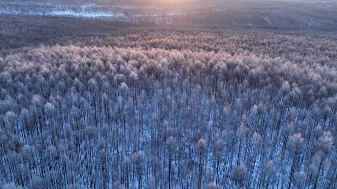 航拍林海雪原雾凇暖阳