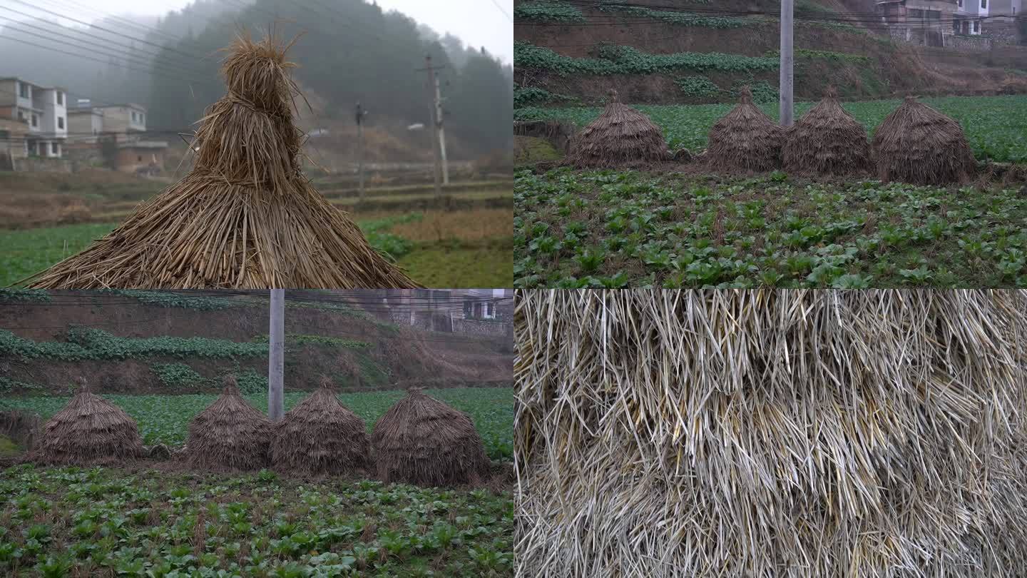 农田草堆 稻草堆