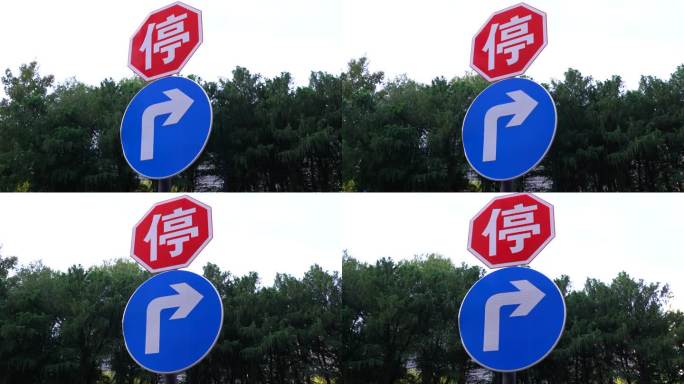 上海街道