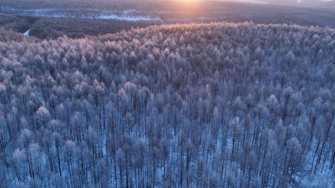 航拍林海雪原雾凇暖阳