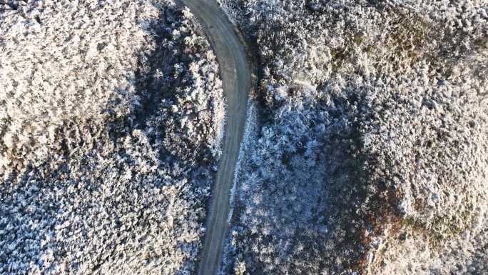 雪景公路