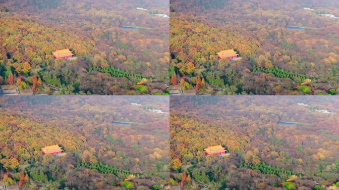 南京钟山风景区秋色