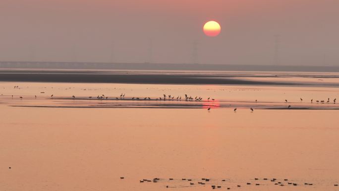 鄱阳湖日落