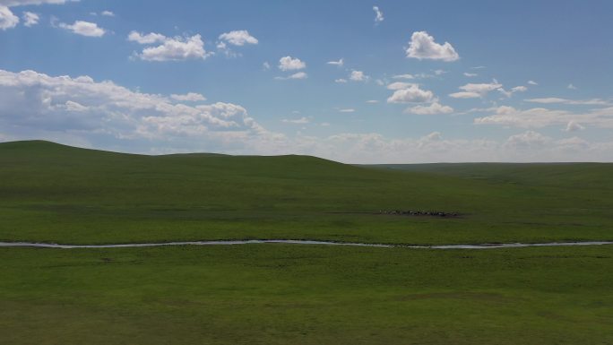 草原 内蒙古草原