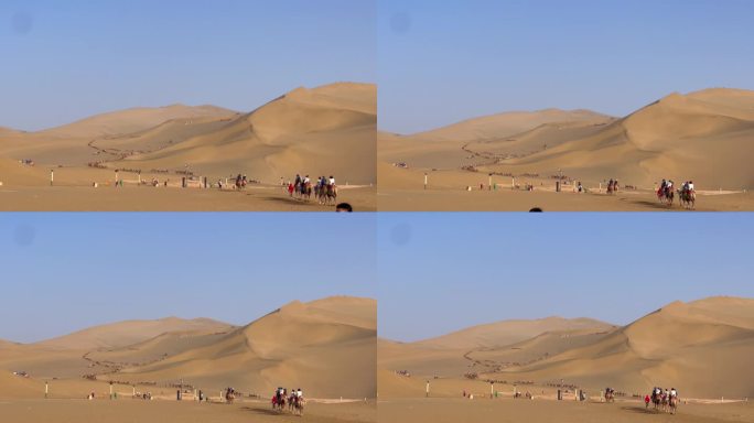 沙漠 驼队