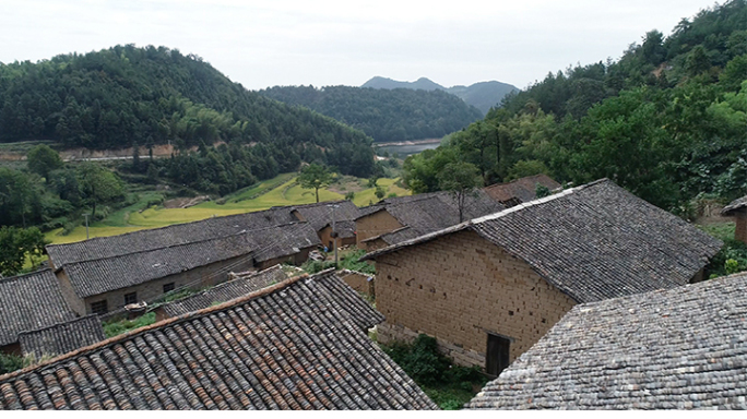 左家沟梯田 梯田4k多景别