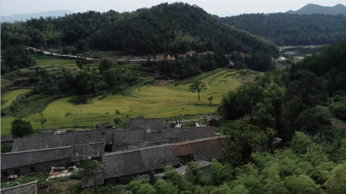 左家沟梯田 梯田4k多景别