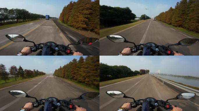 摩托车骑行第一视觉落羽杉海边