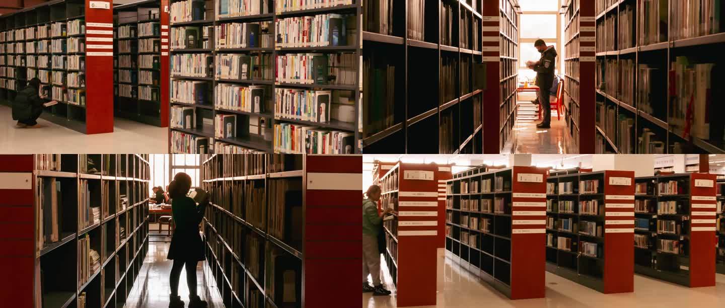 图书馆读者学习读书金色温暖