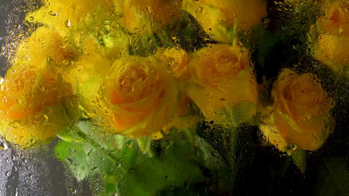透过湿玻璃的黄玫瑰。多雨的天气。窗外正下着雨