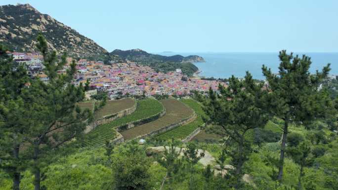 青岛航拍，青山渔村，梯田风光，大海风光