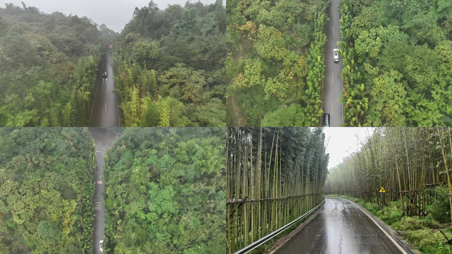 雨中成都竹艺村  竹子道路