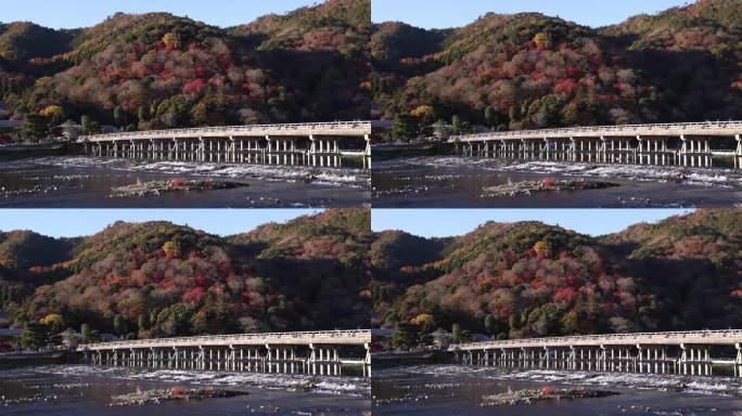 秋天的京都，桂川河附近的东津桥