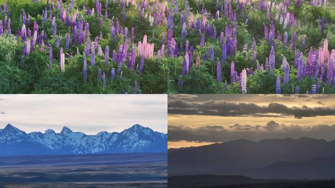 航拍新西兰亚历山大里纳湖风光