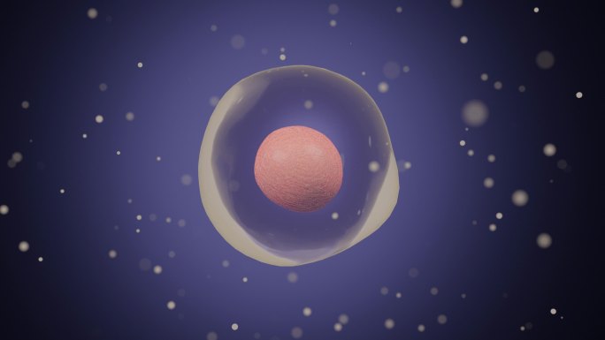 细胞膜细胞壁细胞蠕动三维动画