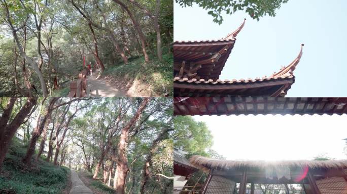 4K原创实拍素材上海松江区地标-小昆山园