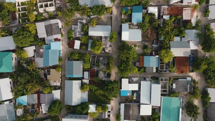 空中拍摄的村庄景观和树木密集的社区。马尔代夫