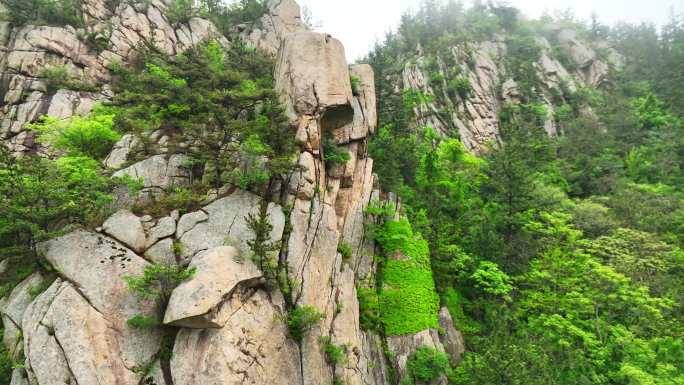 云海 山 雾气 森林 大自然 大好河山