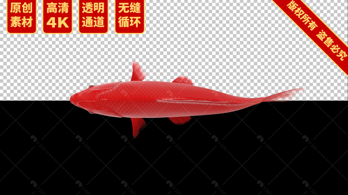 4K三维中国红锦鲤游动素材无缝循环