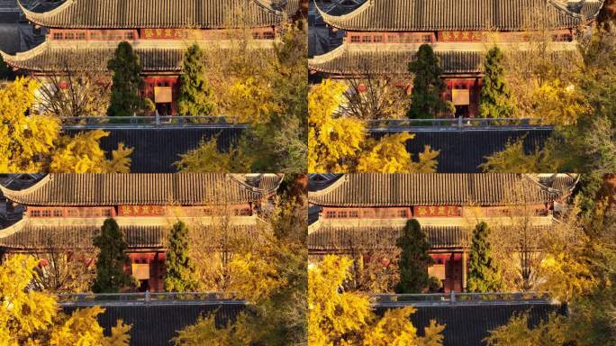 秋天银杏叶下面的寺院