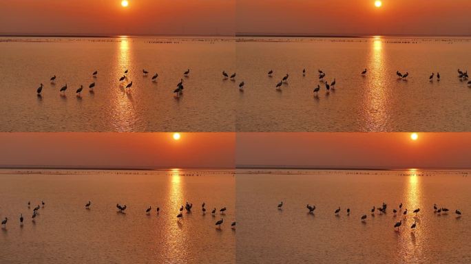 鄱阳湖日落