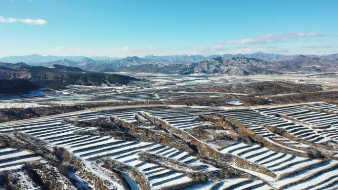 航拍北方冬天雪景农田