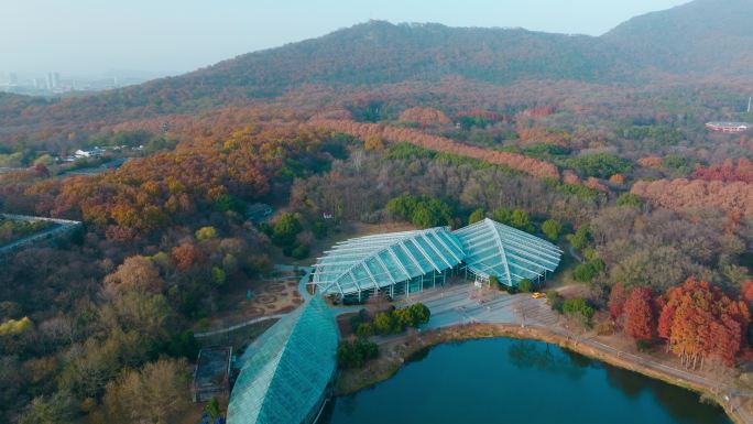 南京中山植物园前湖公园秋色