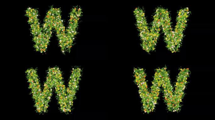 英文字母W与草和彩色花朵在纯黑色的背景