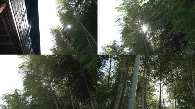 竹林中的建筑光线变化