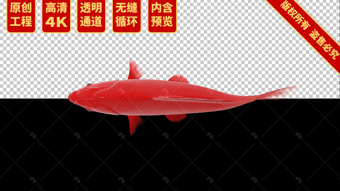 4K三维中国红锦鲤游动C4D工程