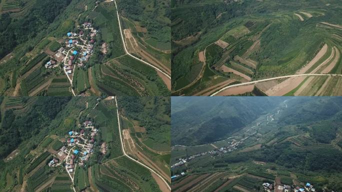 山村和山路青山景致大气航拍梯田纵横