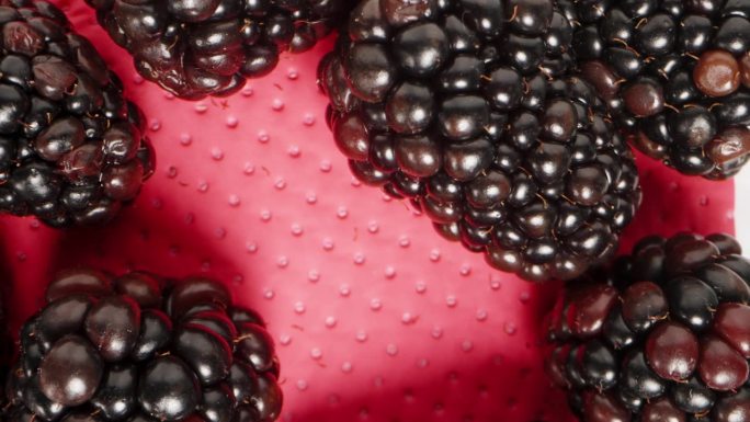 我用红色餐巾纸上的透明盖子盖上黑莓包装。多莉滑块极端特写。