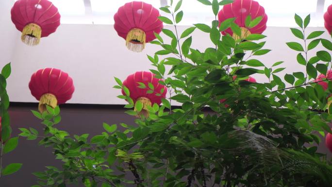 节庆中国风空镜头红灯笼