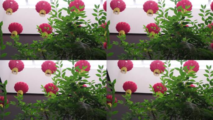 节庆中国风空镜头红灯笼