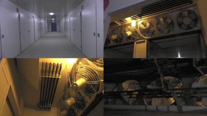 孵化室 孵化器 内部设备 风扇 温湿度计