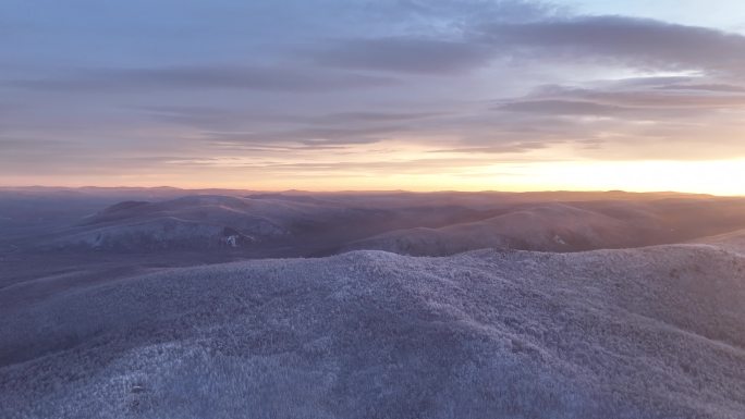 航拍大兴安岭林海雪原雪色黎明