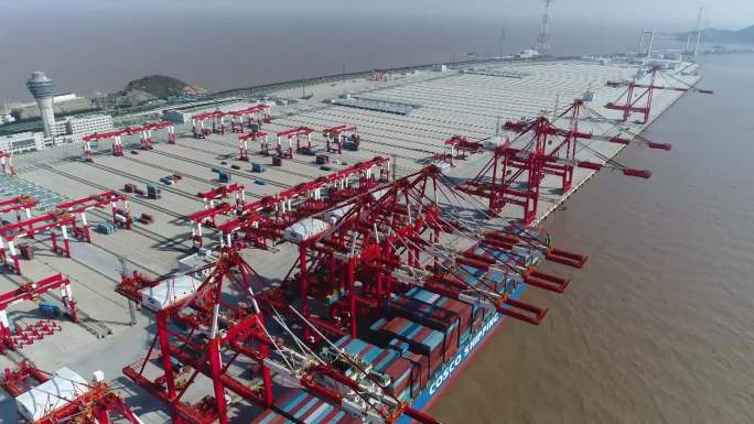 上海 洋山深水港码头 集装箱自动化管理