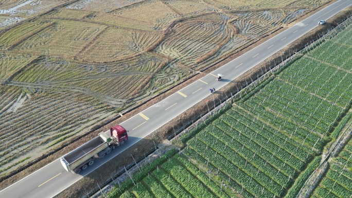 俯拍农田菜地  乡村风光  农村公路