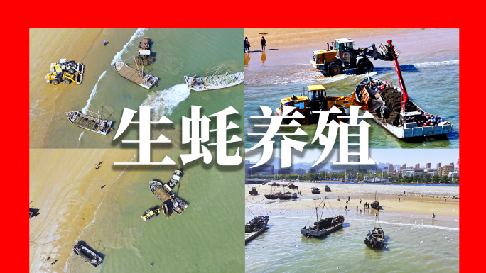 海上养殖基地忙碌场景航拍