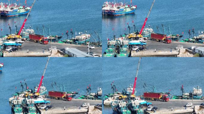 威海 渔船回港，卸鱼 航拍 吊车卸鱼
