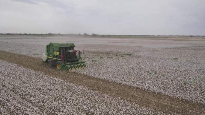 棉花农作物机械化采收4K航拍