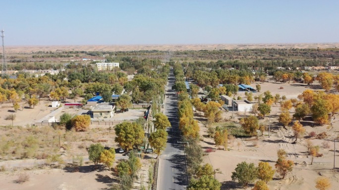 新疆 沙漠第一村  兰城村  航拍