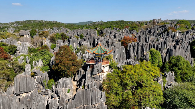 石林风景区乃古石林风景区航拍4k视频