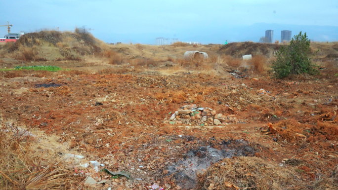 荒地 闲置土地 杂草丛生 荒凉萧瑟 空地