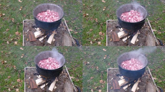 准备美味的罗马尼亚传统食品在大锅上的露天木火在大自然