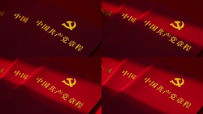 共产党章程 党建 两会