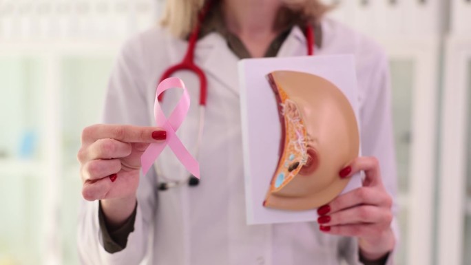医生拿着乳房和粉色丝带的人造模型